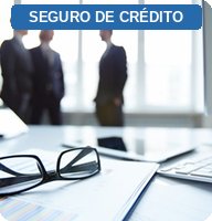 Seguro de Crédito para Empresas en Chile